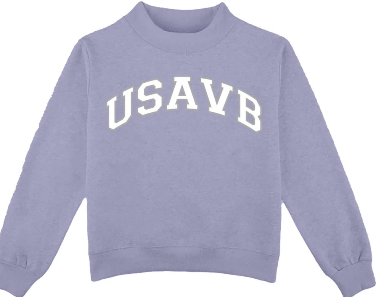 USAVB Purple Mockneck