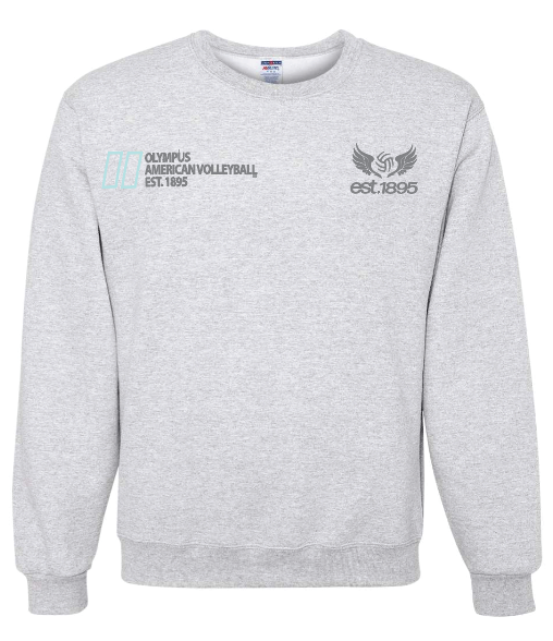 Mint American Volleyball